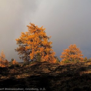 Sturmwarnung
