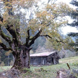 Hochkönig, Jodlersteig