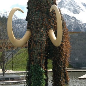 Begegnung mit Mammut in den Alpen