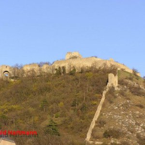 Burgruine Hainburg