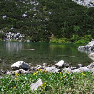 Großer Feichtausee im Sengsengebirge, OÖ