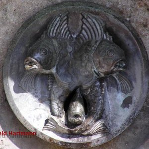 Fische