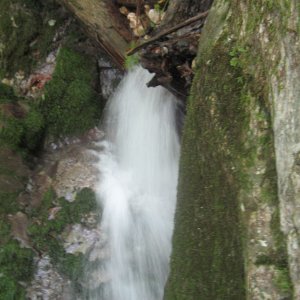 Wasser findet immer einen Weg