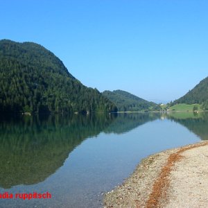 Hintersteinersee, Kaisergebirge