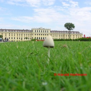 Schloss Schönbrunn