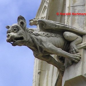 Gargoyle, gelockt