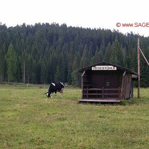 Liegestühle auf der Alm