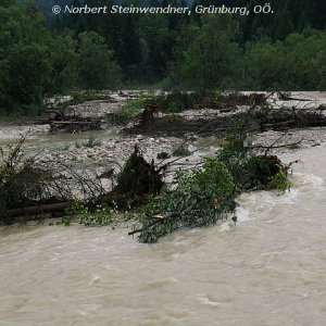 Medium 'Hochwasser (4)' in der Kategorie 'Wasser div.'