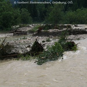 Hochwasser (4)