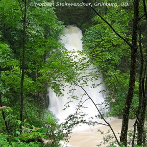 Hochwasser (1)