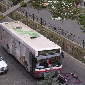 Bus von Tirana nach Stranzendorf