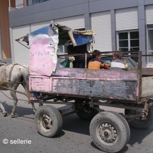 Albanisches Pferdefuhrwerk