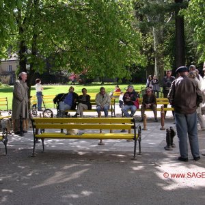 Schach im Hofgarten