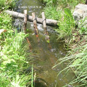 Waalrechen