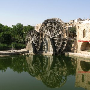 Hama (Syrien) - Wasserschöpfräder (Nouria)