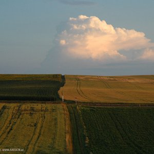 Weinviertel