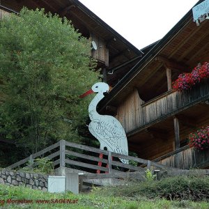 Storch bringt Daniel nach Alpbach