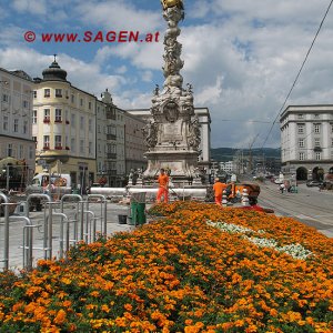 Linz - ein Traum in orange!