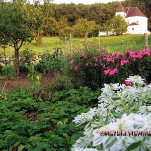 Bauerngarten Markersdorf