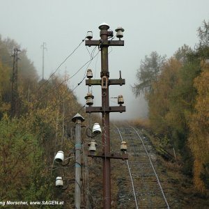 Signalleitung