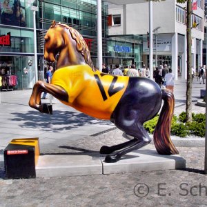 Dynamo Dresden - unser Fußballverein