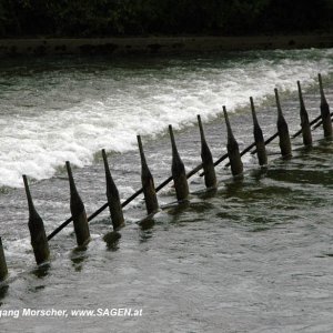 Holzrechen Seeklause Steeg - Hallstätter See