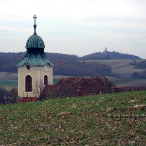 Weinviertler Landschaft