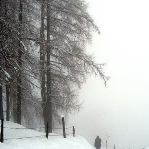 Winterspaziergang 1/3