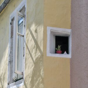 Spion mit Kaktus