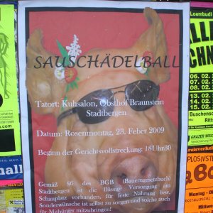Sauschädelball