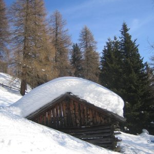 Skitour Nösslachjoch