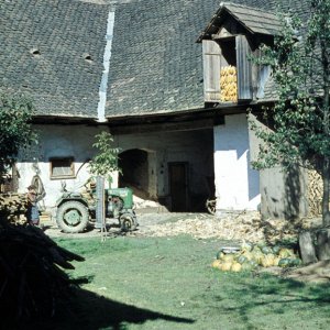 Landwirtschaft in der Steiermark