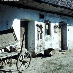 Landwirtschaft in der Steiermark