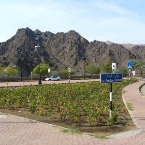 Al Bustan Street - Der Garten Eden