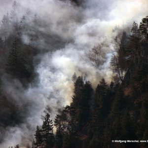 Waldbrand Innsbruck 3