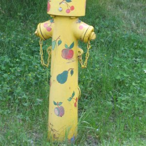 Hydrant in Mils (Unterinntal)