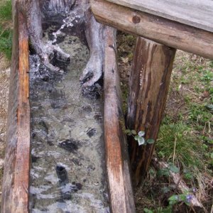 Brunnen in Opponitz