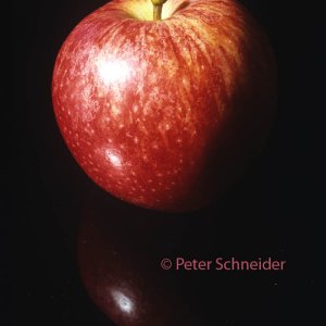 Apfel