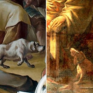 Die Hunde von Altenburg
