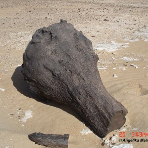 Versteinertes Holz in der Sahara, Gilf Kebir