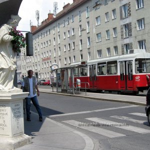 Blumenschmuck