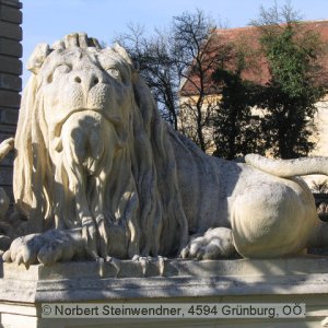 Löwe auf Schloss Greillenstein