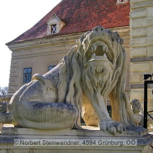 Löwen auf Schloss Greillenstein