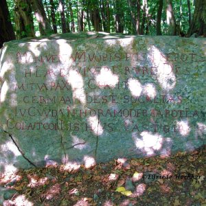 Gedenkstein auf dem Kaiserlindenplatz