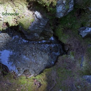 Speckbacherbrünnl