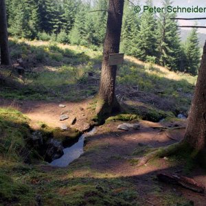 Speckbacherbrünnl