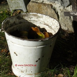 Äpfel in Oberösterreich