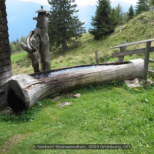 Radlberger Alm - Brunnen (1)