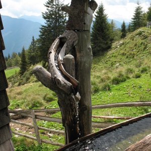 Radlberger Alm - Brunnen (2)
