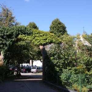 Teil der Alten - Stadtmauer in Haslach